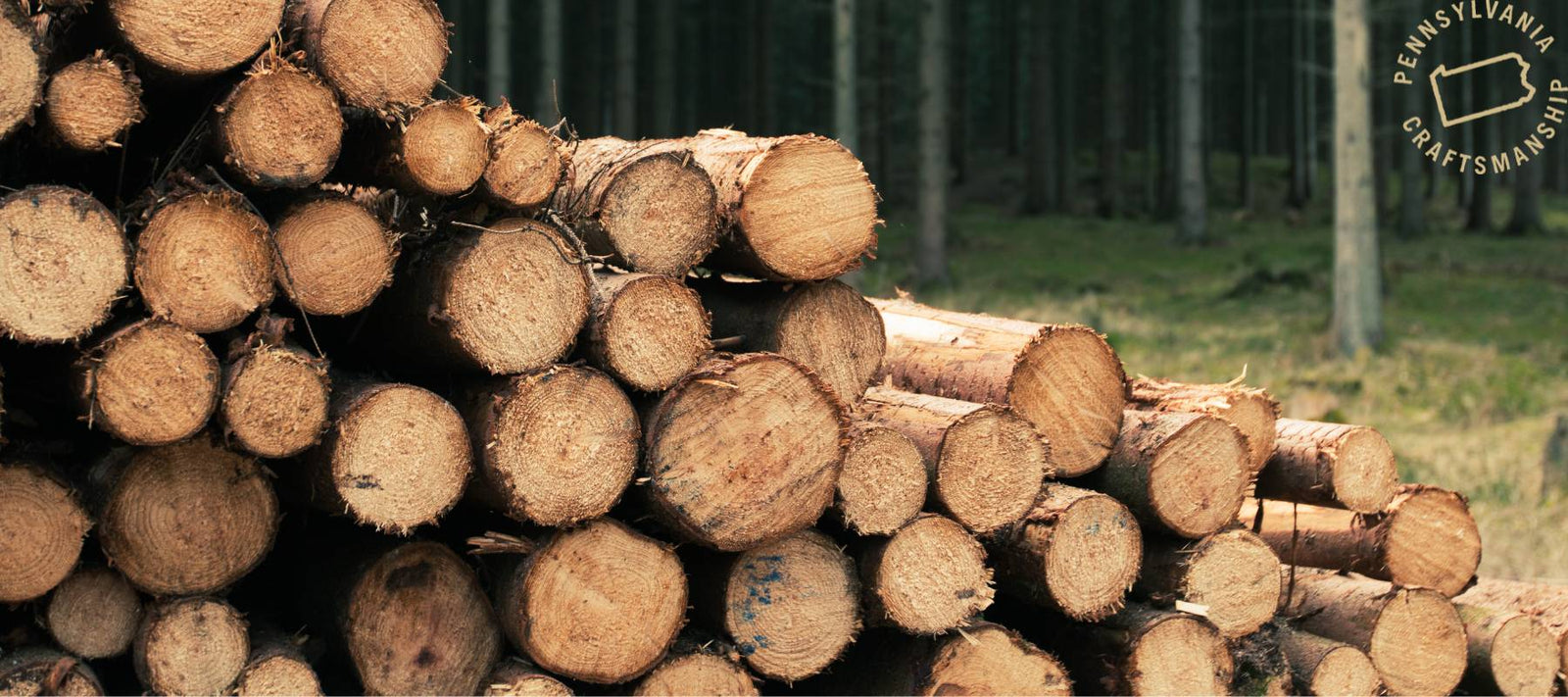 Oak, Maple and Cherry: Which one is the best wood? - snyders.furniture