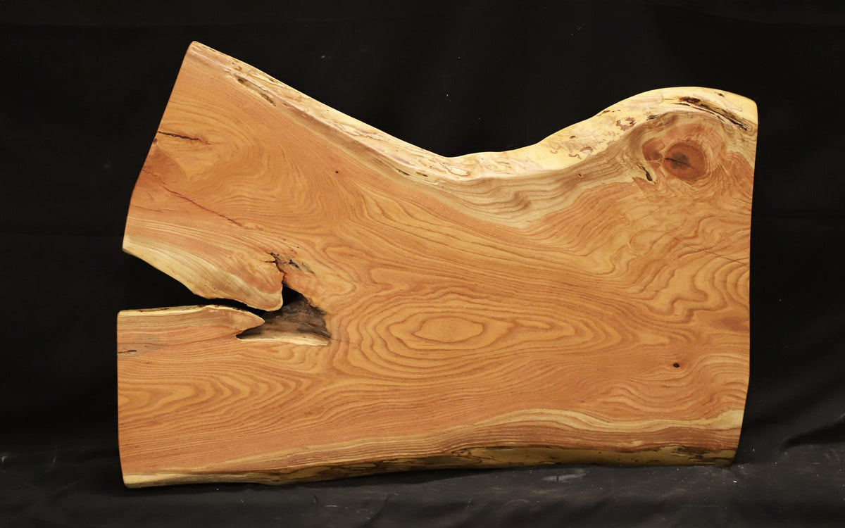 Live Edge Slab Kentucky coffee tree 21" - 32" wide x 44" long x 2" thick for Rectangular Coffee Table