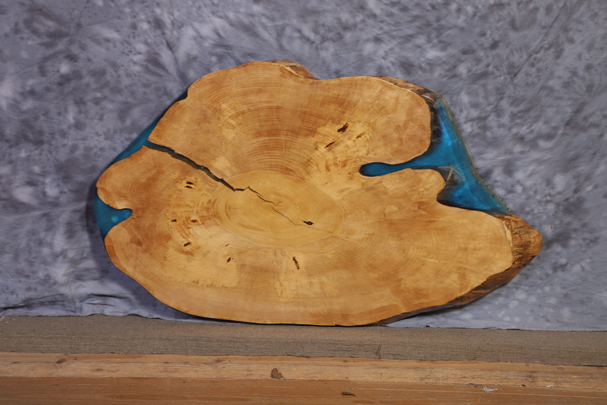 Live Edge Slab gingko 40" wide x 66" long x 2 ¼" thick for Round Coffee Table
