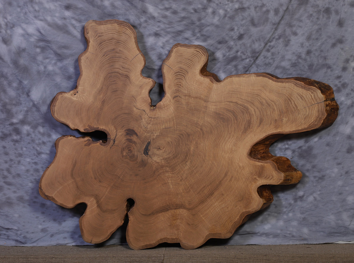 Live Edge Slab willow 45" x 60" x 2 ½" thick for Round Coffee Table