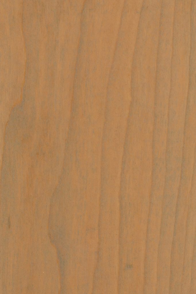 Seashell on Cherry Wood Stain Sample