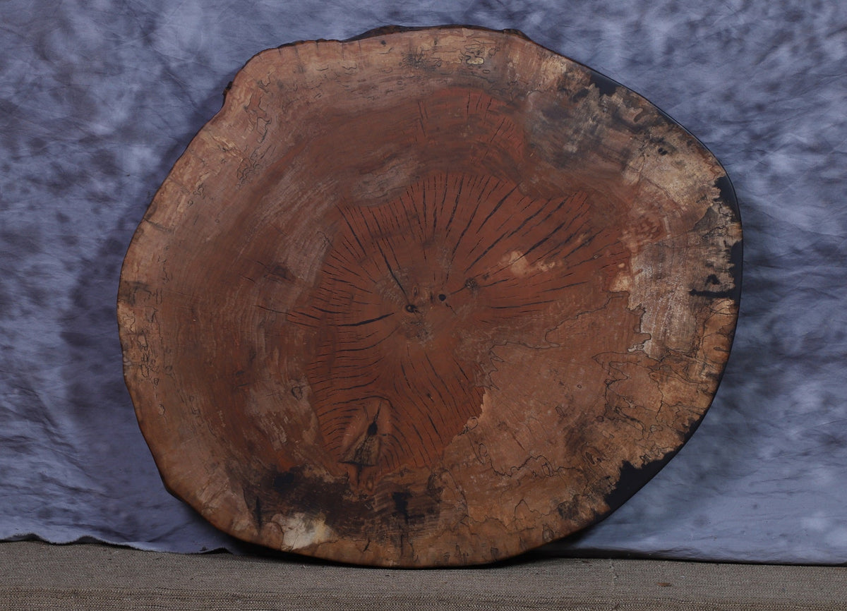 Round maple cookie slab with deep reddish brown coloring, radiating checks and a rough spalted bark rim