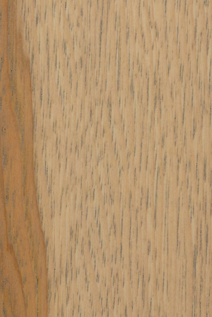 Seashell on hickory showing pale blond wood with contrasting darker sapwood streak along one edge