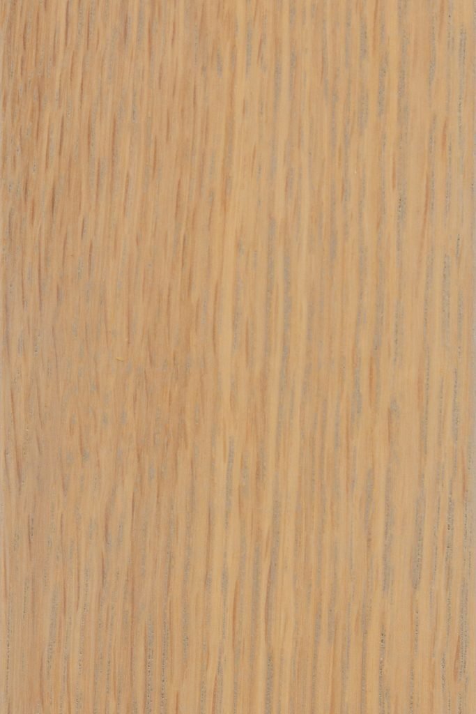 Seashell on quartersawn white oak, a light straw colored swatch with fine rays and gray grain flecks