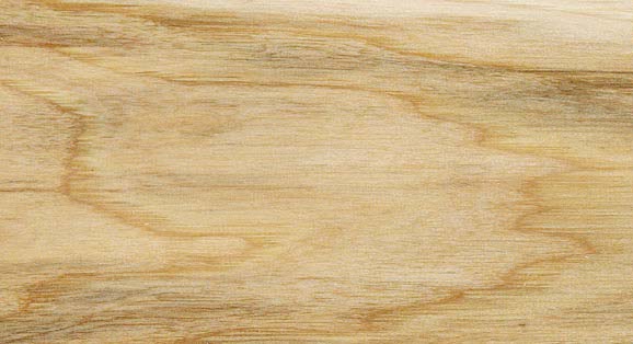 Hickory wood sample plank with pale cream sapwood and soft tan streaks running through the grain