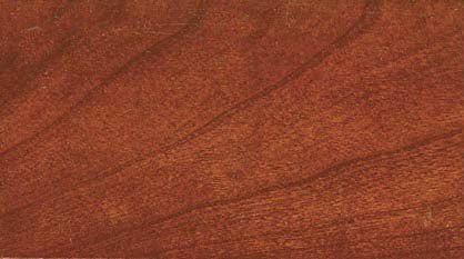 Washington stain on cherry sample showing a warm red brown finish with smooth diagonal grain