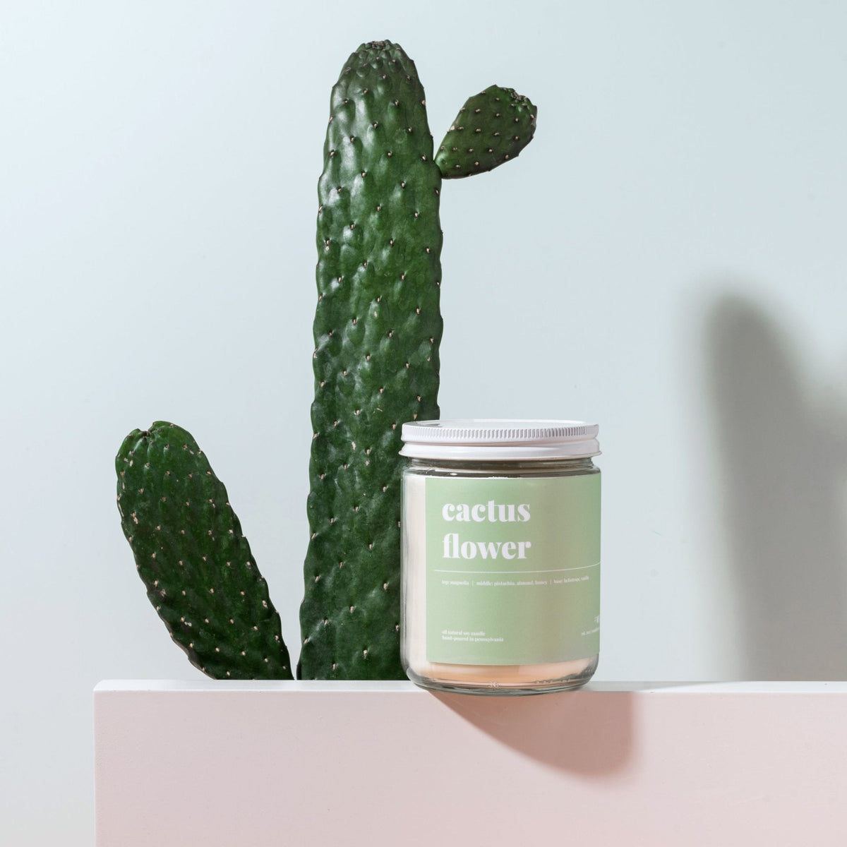 Lidded cactus flower soy candle on a blush pedestal beside a tall prickly pear cactus against a pale blue wall