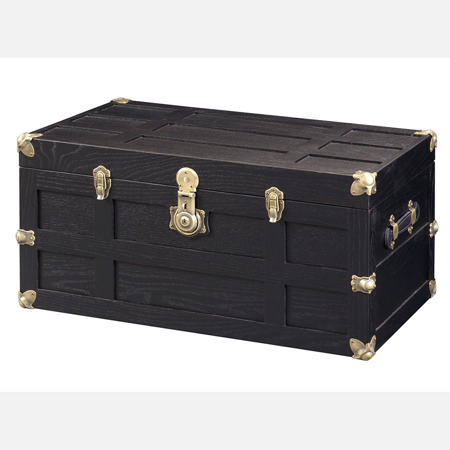 Plymouth Trunk - snyders.furniture