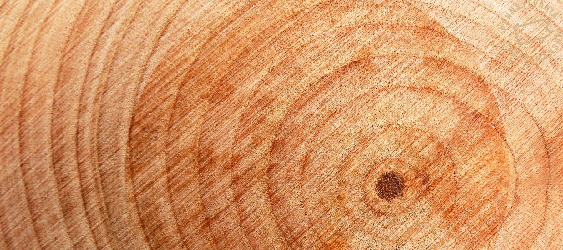 5 Benefits Of Oak Wood - snyders.furniture
