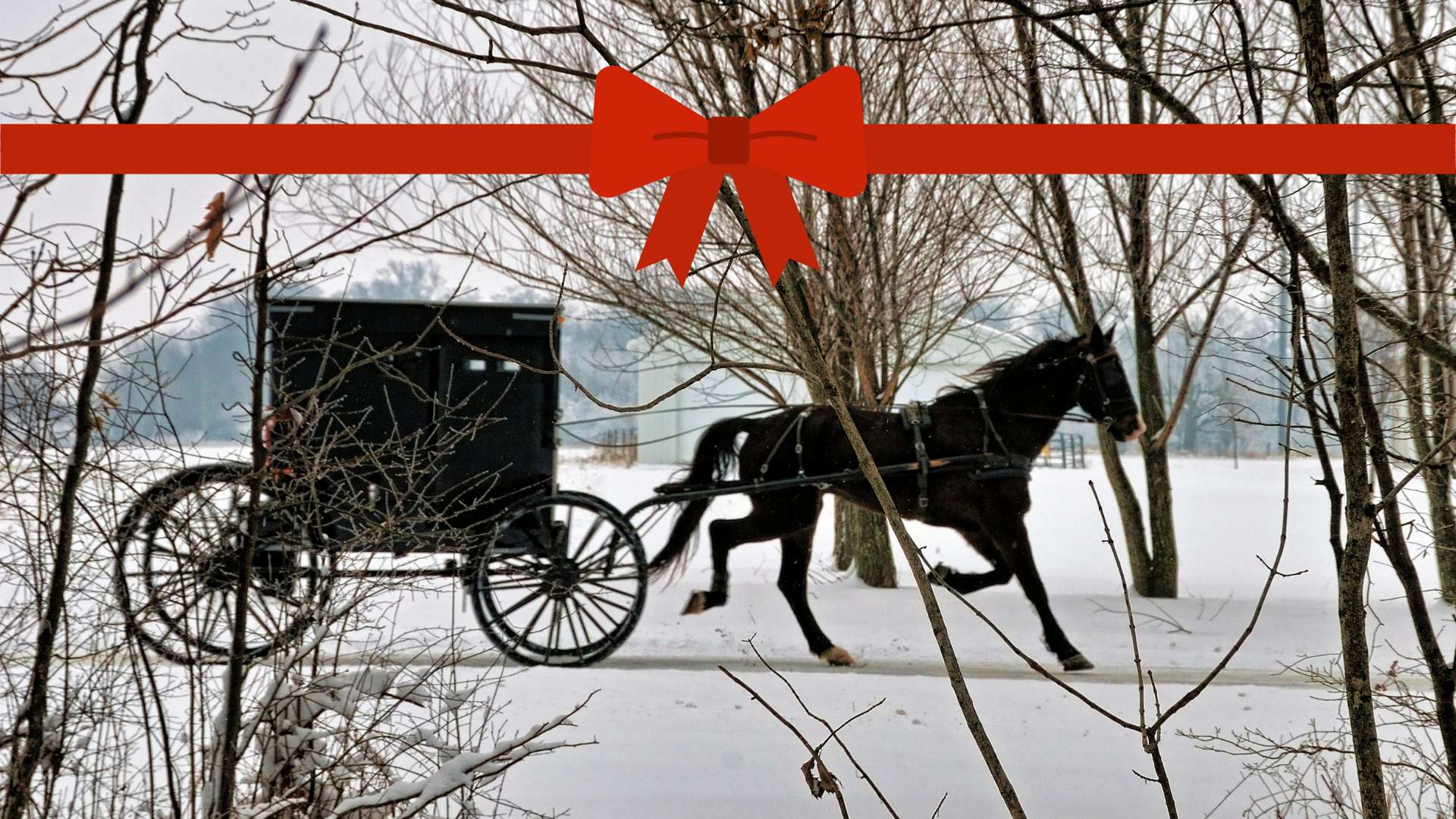 5 Ways The Amish Celebrate New Years - snyders.furniture