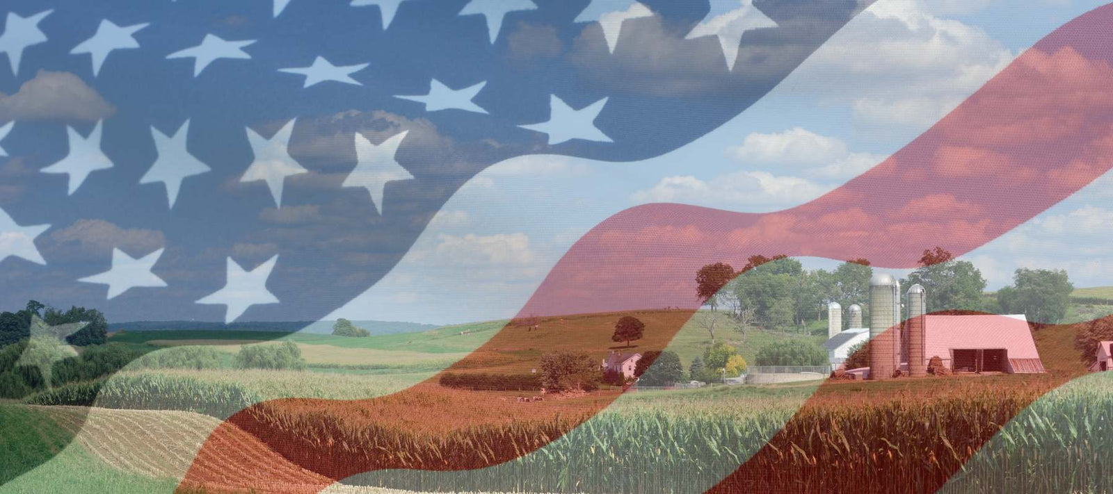 Are The Amish Patriotic? - snyders.furniture