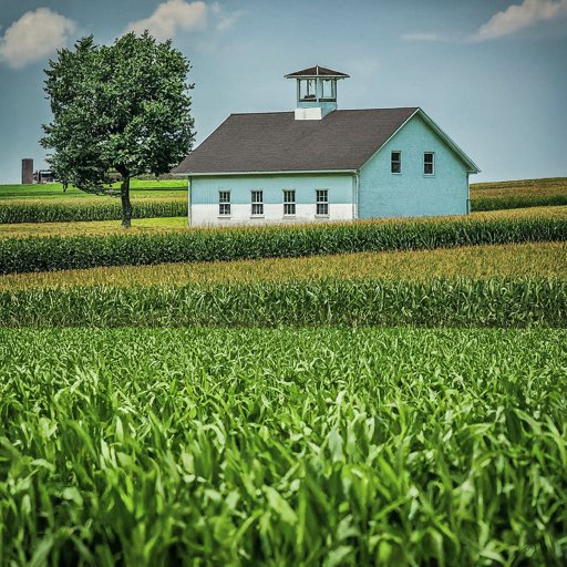 Do Amish go to school?
