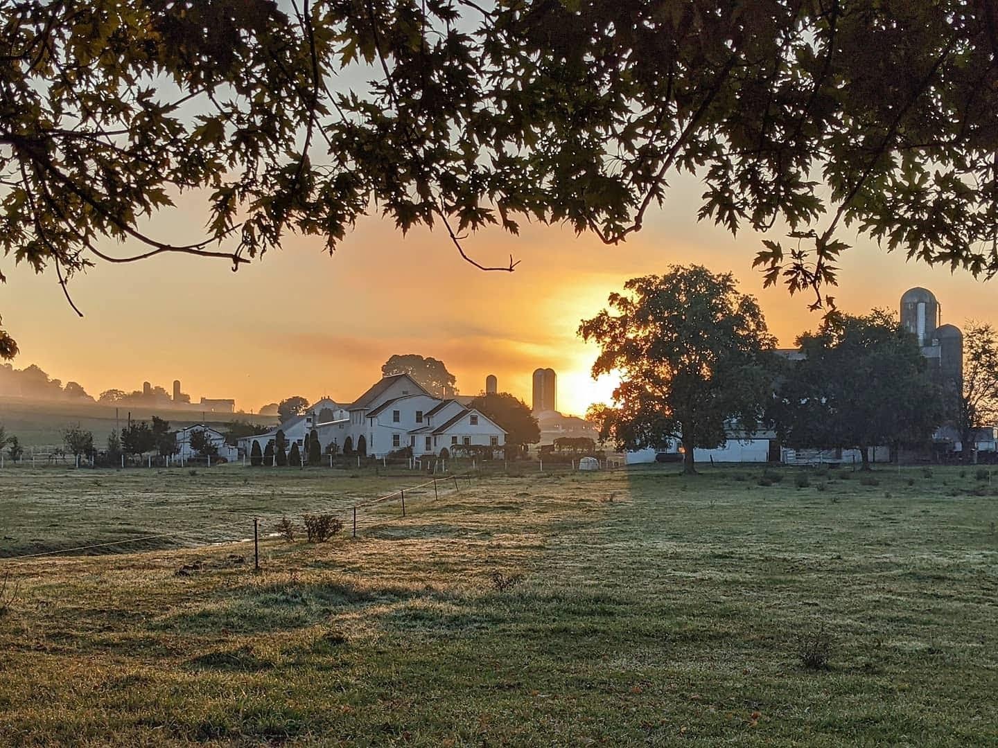 Do the Amish celebrate Labor Day? - snyders.furniture