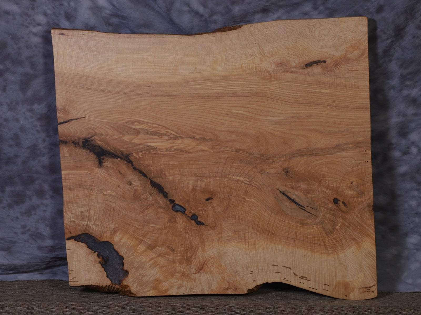 Ash live edge slab with black epoxy filled voids and cracks running through swirling figured grain