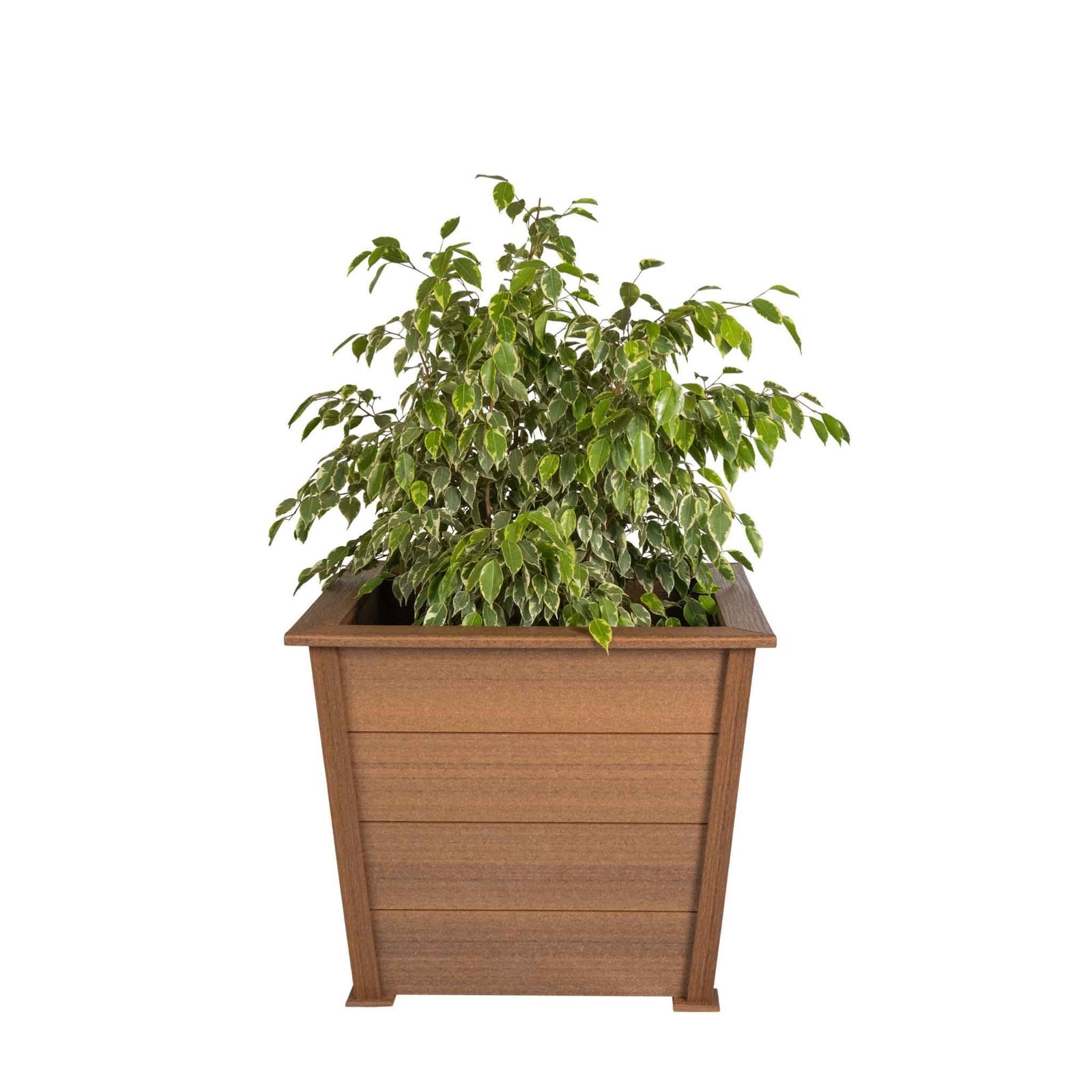 Turquoise and white tapered square poly planter with a flowering canna on a lakeside deck at sunset