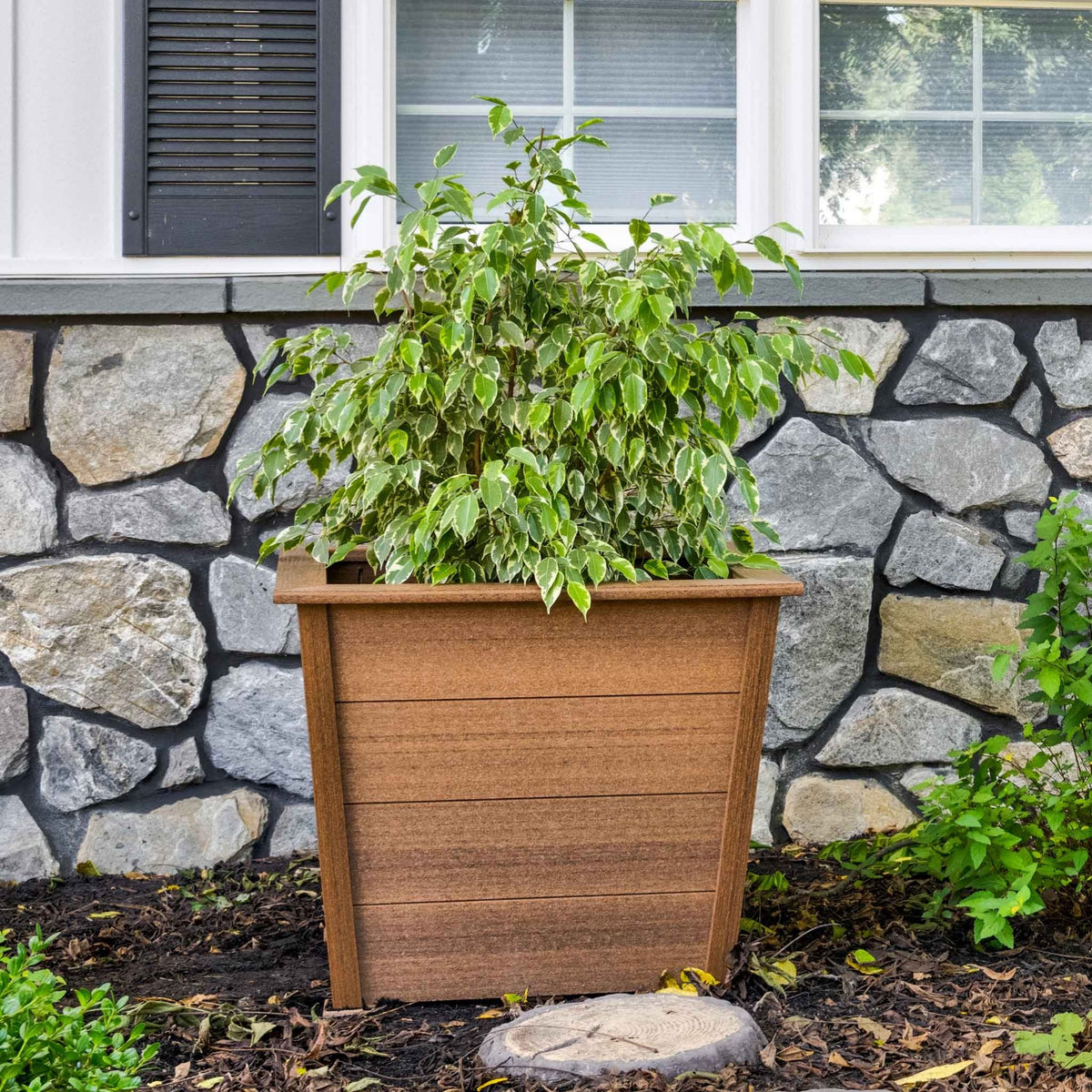 Brown poly square planter with a leafy ficus set in mulch against a stone veneer house wall