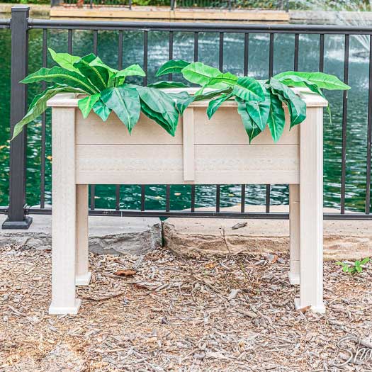 Elevated cream poly planter box with trailing green foliage set on mulch by an iron fence