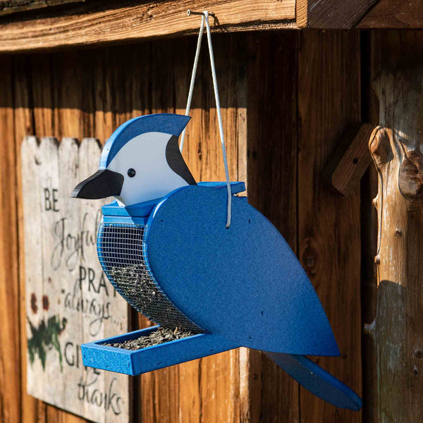 Spoontiques Casetta Per Uccelli Blue Jay – Resina – Per Interni Ed Esterni