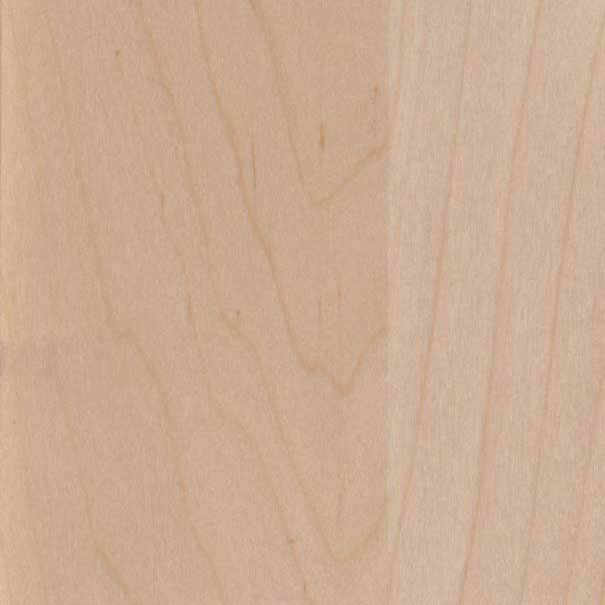 Natural finish maple wood sample, a pale creamy blond panel with soft flowing cathedral grain