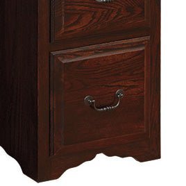 Detail of a dark stained oak file cabinet drawer with raised panel front, antique bail pull and curved skirt