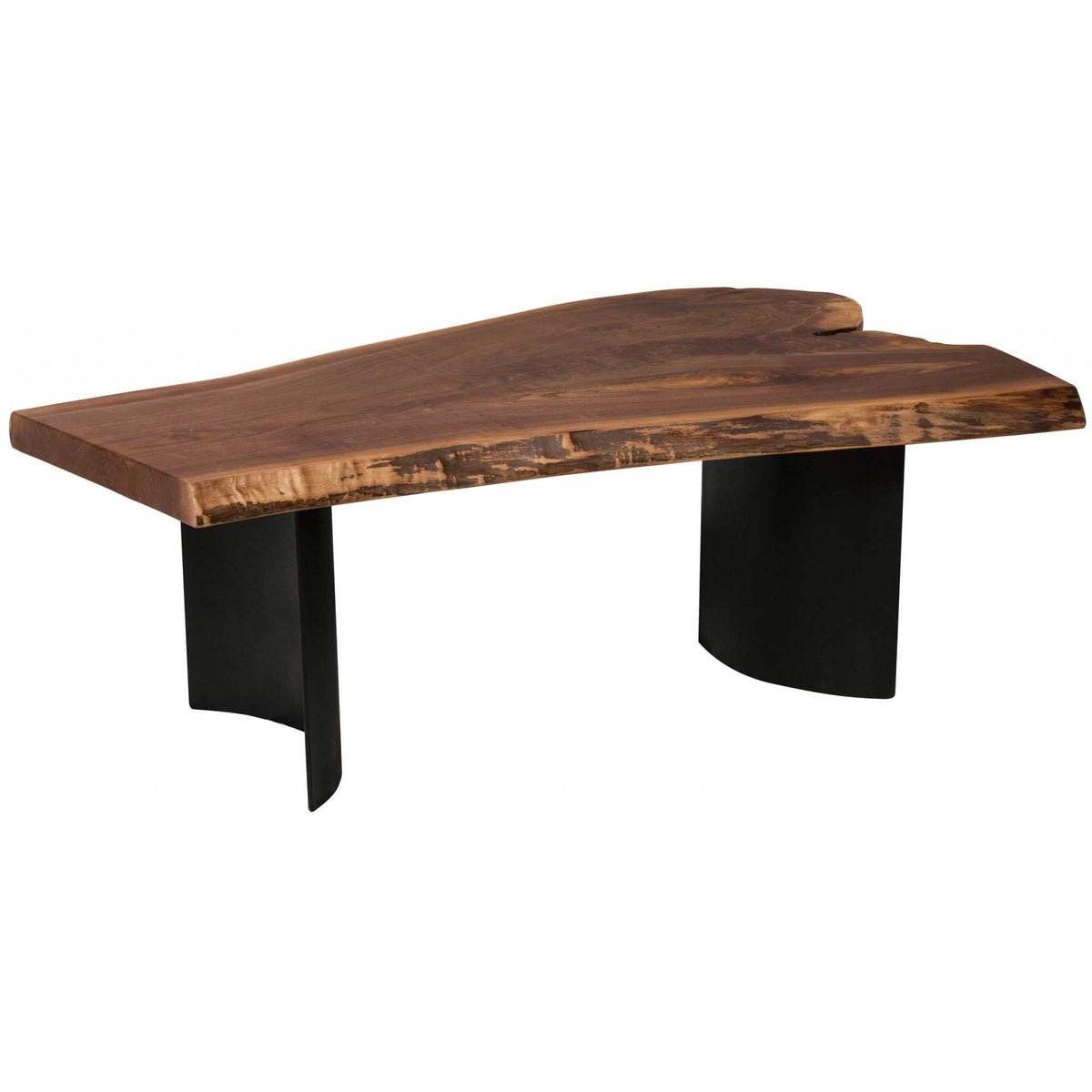 Live edge walnut coffee table slab set on two curved black iron shell legs on a white background