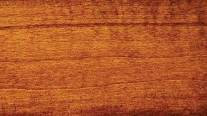 Michaels stain on maple wood sample showing a warm golden orange brown with fine straight grain