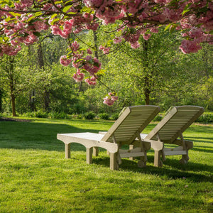 Two poly chaise lounge chairs on a green lawn under a blooming pink cherry tree, backs reclined for sunbathing