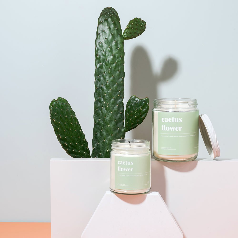 Two cactus flower soy candles with sage green labels displayed on white pedestals beside a tall prickly pear cactus