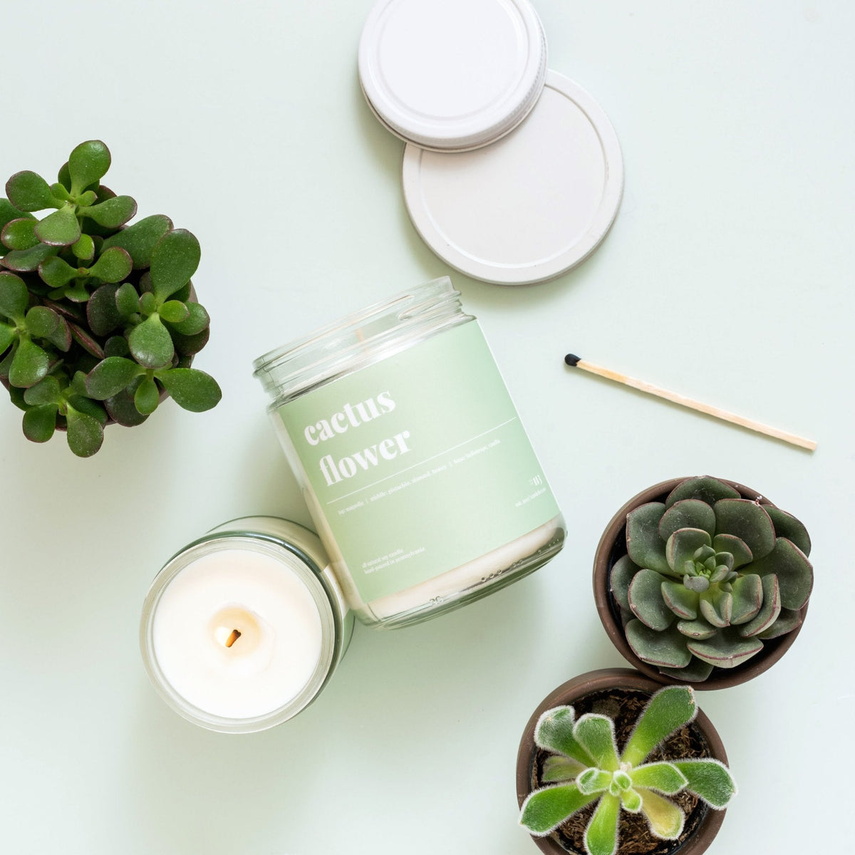 Cactus flower standard soy candle viewed from above with a burning jar, two lids and small succulent plants