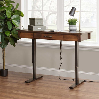Adjustable height lift desk with wood top, single drawer and black steel legs, styled by a bright window with plants
