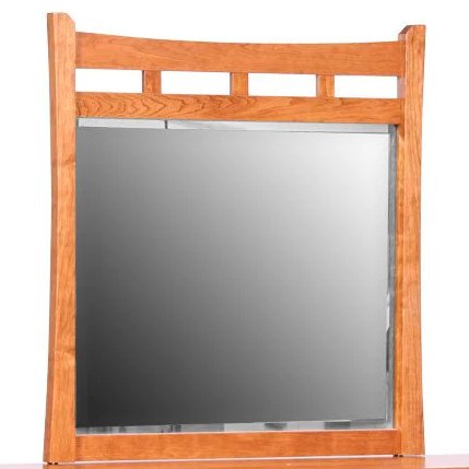 New Transitions Landscape Beveled Mirror - snyders.furniture