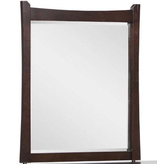 New Transitions Vertical Beveled Mirror - snyders.furniture