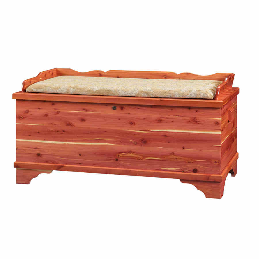 Springfield Large Seatrail Chest - Cedar - snyders.furniture